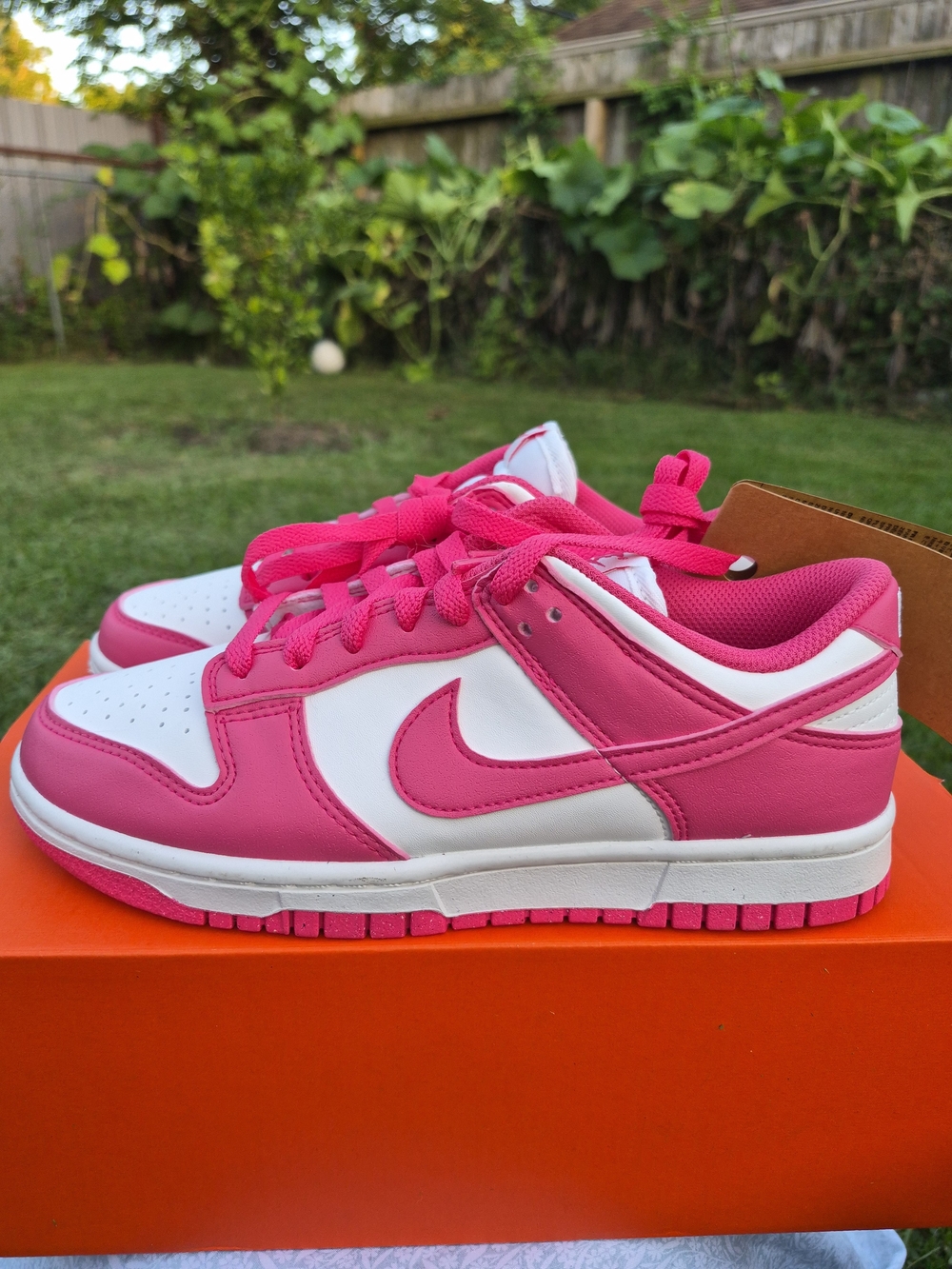 Nike Women’s Pink and White Low-Top Sneakers